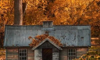 The Scenic Route Arrowtown Historic and Scenic Tour