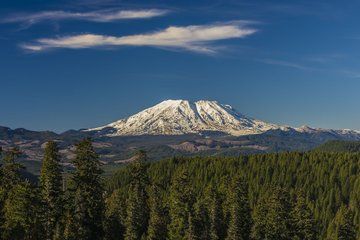 Mount St. Helens and Mount Rainier Shared Tour