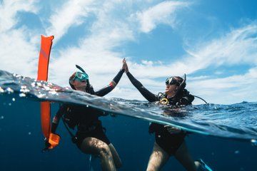 Cabo San Lucas Scuba Diving 2 Dives with Private Guide