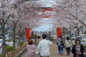 Essence of Kamakura From the samurai temples to the sea