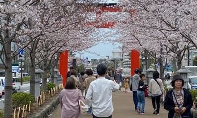 Essence of Kamakura From the samurai temples to the sea