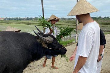Exploring Buffalo Ride with Local Farmers Hoi An
