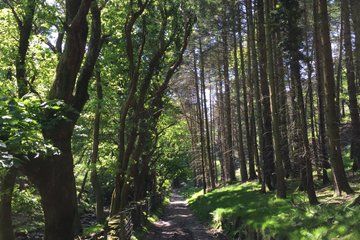 Private Garden and Glens Tour of The Isle of Man