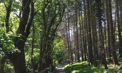 Private Garden and Glens Tour of The Isle of Man