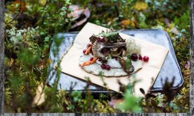 Helsinki Forest Meditation and Sound Journey with Nordic Picnic
