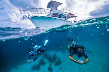 Private PADI 1 Day Scuba Certification in Cabo San Lucas
