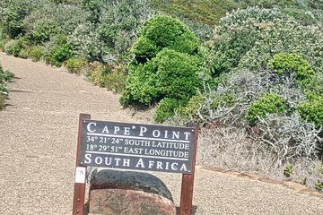 Table Mountain Cape Point and Peguin Half Day Tour