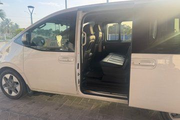 Private Meet & Greet Transfer from GEO to Georgetown