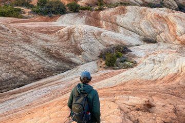 Candy Cliffs Hike Guided Adventure Near Zion National Park