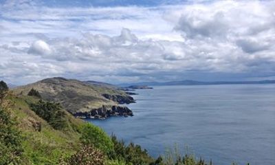 Ring of Beara Private Tour