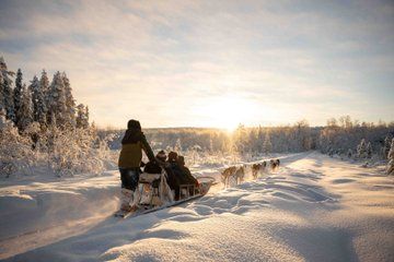Reindeer and Huskies Sled Ride Combo with Professional Photos