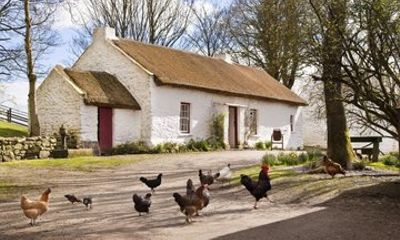 Ulster American Folk Park General Admission Ticket
