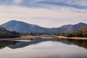 Jambughoda Wildlife & Tribal Tour from Vadodara