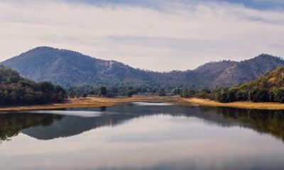 Jambughoda Wildlife & Tribal Tour from Vadodara