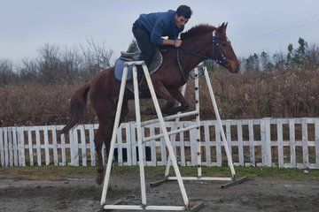 Horse Riding Tour from Kutaisi