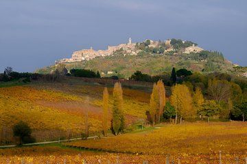 Private tour Wine and cheese a perfect combinations val 'Orcia