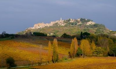 Private tour Wine and cheese a perfect combinations val 'Orcia
