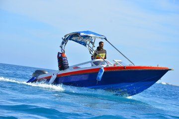 Private Speedboat Dolphin House Trip with Parasailing : Hurghada