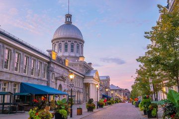 Montreal Premium Guided Tour with Notre Dame and Mont Royal