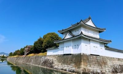 Kyoto Nijo-jo Castle Samurai and Shogun Private In Depth Tour