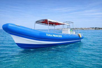 Secrets of the South Coast: Hidden Bays & Crystal Waters