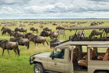 Full day Game Drive at Ngorongoro Crater