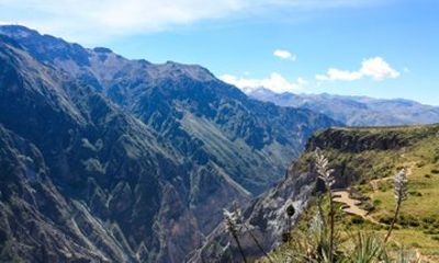 Colca Canyon Full Day Tour from Arequipa with Condor Viewing