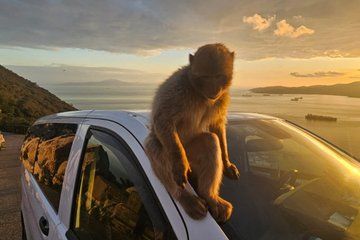 Luxury Private Gibraltar Rock Tour - 5 stops