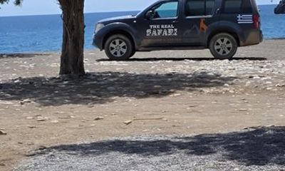 Tripiti Adventure Jeep Safari with Swimming and Mountain Views