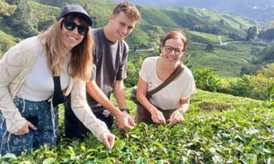 Cameron Highland explore tour from Ipoh
