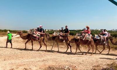 Tunisian Camel Ride and Local Experience