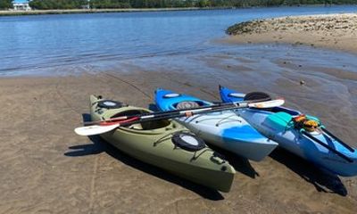 Shark Tooth Island Kayak Rental