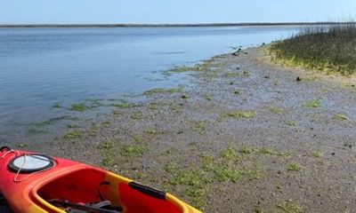 Masonboro Intracoastal Waterways Kayak Rental