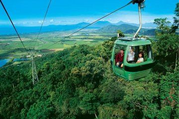 Cairns Rainforest Adventure Experience