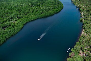Wildlife Boat Ride at Barra de Santiago Estuary