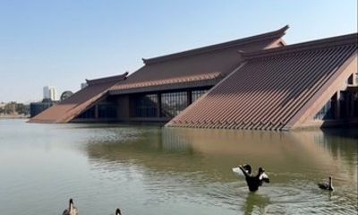Shanghai Roots Guangfulin Deep Pit and Sky Village Tour