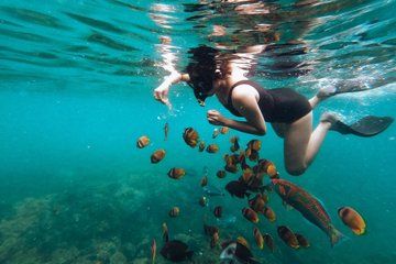 Bali Snorkeling Experience in Sanur Coastal Area Include Pick Up