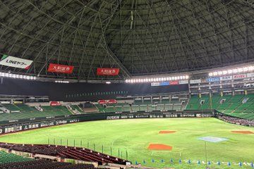 Fukuoka Highlights PayPay Dome Stadium Tour and Fukuoka Tower