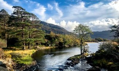 Private Shore Tour: Killarney and Killarney National Park