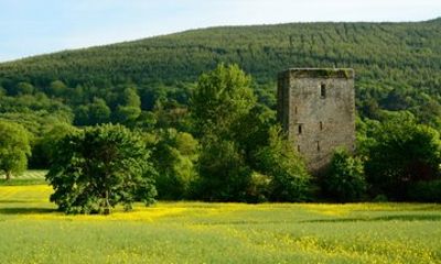 Private Shore Tour: Ballahack Castle & Museum Cruise from Cork