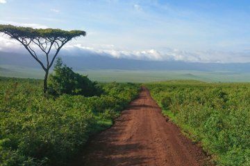 3-Day Camping Safari Tarangire, Ngorongoro and Lake Manyara