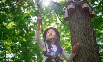 Discovery Kids Course Treetop Trekking Hamilton