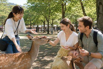 Private Half Day Tour of Nara Temples Deer and History