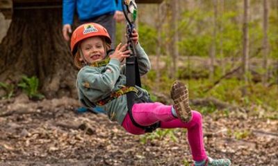 Discovery Kids Courses Treetop Trekking Stouffville