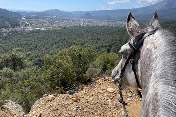 1 or 2 Hours Group Horse Riding in the Forest in Kemer Antalya
