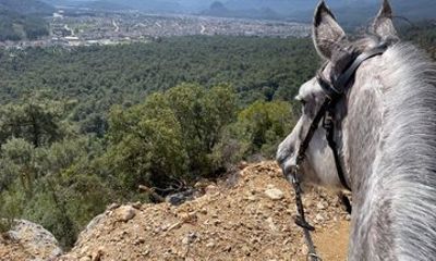 1 or 2 Hours Group Horse Riding in the Forest in Kemer Antalya