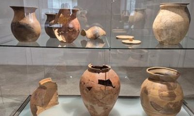 Braga Roman Museum Ponte de Lima Wine Tasting and Lunch Tour
