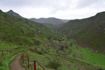 Lomas de Lachay Day Trip from Miraflores
