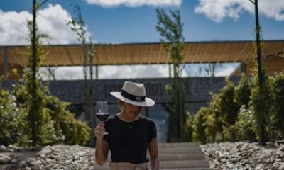 Buenos Aires wine experience by Catena Zapata in Estancia Vigil