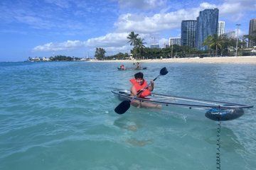 1 Hour Self Guided Clear Kayak Tours in Oahu